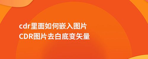 cdr里面如何嵌入图片CDR图片去白底变矢量