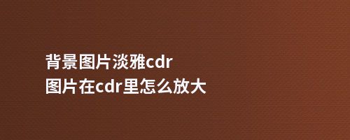 背景图片淡雅cdr图片在cdr里怎么放大