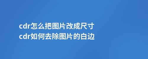 cdr怎么把图片改成尺寸cdr如何去除图片的白边