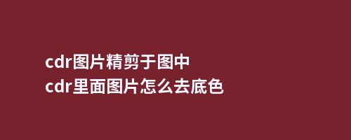 cdr图片精剪于图中cdr里面图片怎么去底色