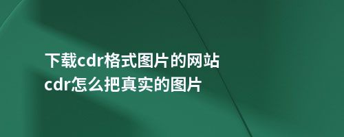 下载cdr格式图片的网站cdr怎么把真实的图片