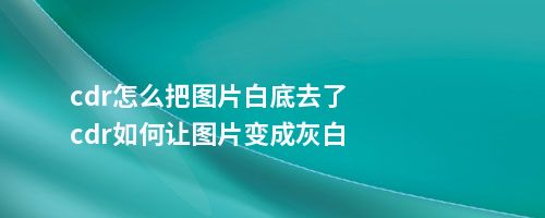 cdr怎么把图片白底去了cdr如何让图片变成灰白