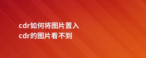 cdr如何将图片置入cdr的图片看不到