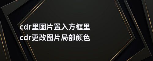 cdr里图片置入方框里cdr更改图片局部颜色