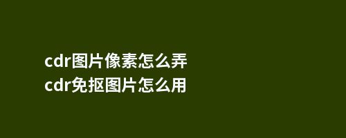 cdr图片像素怎么弄cdr免抠图片怎么用