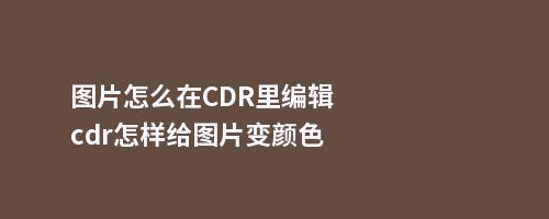 图片怎么在CDR里编辑cdr怎样给图片变颜色