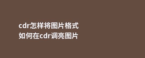 cdr怎样将图片格式如何在cdr调亮图片