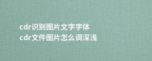 cdr识别图片文字字体cdr文件图片怎么调深浅