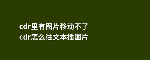 cdr里有图片移动不了cdr怎么往文本插图片