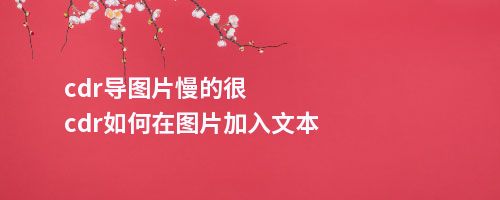 cdr导图片慢的很cdr如何在图片加入文本