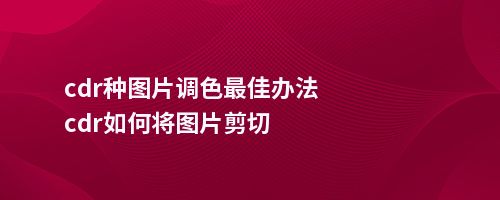 cdr种图片调色佳办法cdr如何将图片剪切