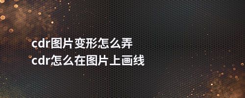 cdr图片变形怎么弄cdr怎么在图片上画线