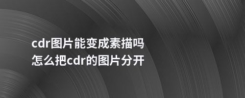 cdr图片能变成素描吗怎么把cdr的图片分开