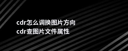 cdr怎么调换图片方向cdr查图片文件属性