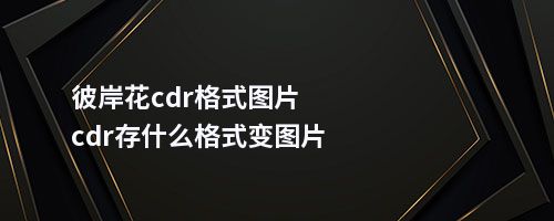 彼岸花cdr格式图片cdr存什么格式变图片