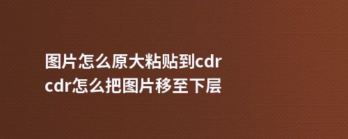 图片怎么原大粘贴到cdrcdr怎么把图片移至下层