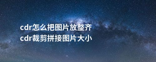 cdr怎么把图片放整齐cdr裁剪拼接图片大小