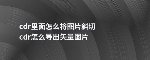 cdr里面怎么将图片斜切cdr怎么导出矢量图片