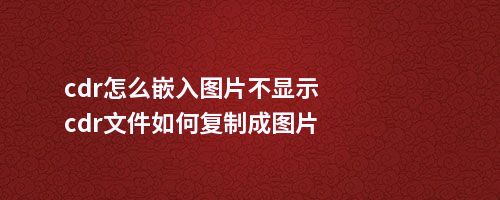 cdr怎么嵌入图片不显示cdr文件如何复制成图片