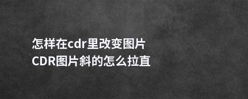 怎样在cdr里改变图片CDR图片斜的怎么拉直