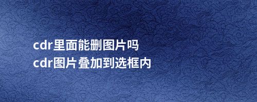 cdr里面能删图片吗cdr图片叠加到选框内