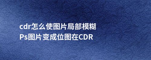 cdr怎么使图片局部模糊Ps图片变成位图在CDR