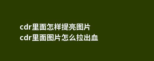 cdr里面怎样提亮图片cdr里面图片怎么拉出血