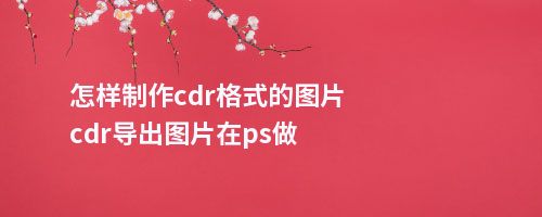 怎样制作cdr格式的图片cdr导出图片在ps做