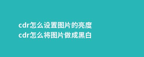 cdr怎么设置图片的亮度cdr怎么将图片做成黑白