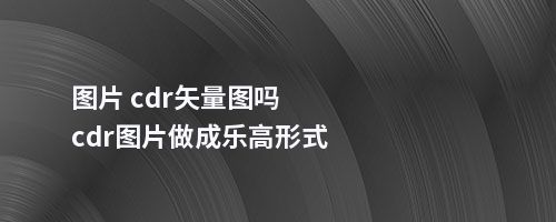 图片 cdr矢量图吗cdr图片做成乐高形式