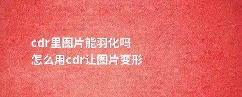 cdr里图片能羽化吗怎么用cdr让图片变形