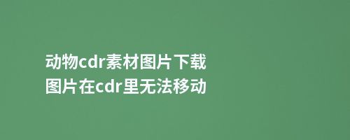 动物cdr素材图片下载图片在cdr里无法移动