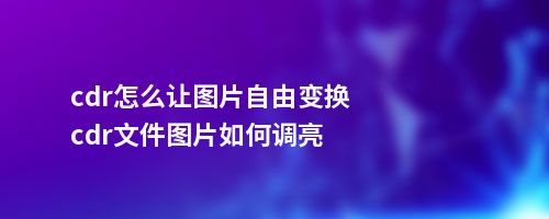 cdr怎么让图片自由变换cdr文件图片如何调亮