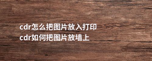 cdr怎么把图片放入打印cdr如何把图片放墙上