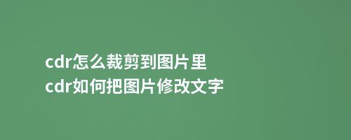 cdr怎么裁剪到图片里cdr如何把图片修改文字