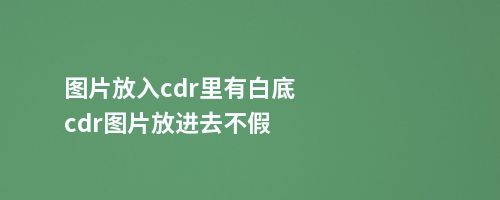 图片放入cdr里有白底cdr图片放进去不