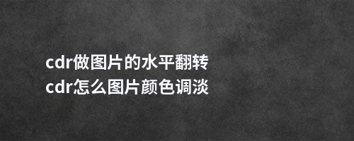 cdr做图片的水平翻转cdr怎么图片颜色调淡