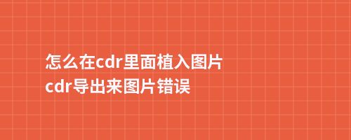 怎么在cdr里面植入图片cdr导出来图片错误