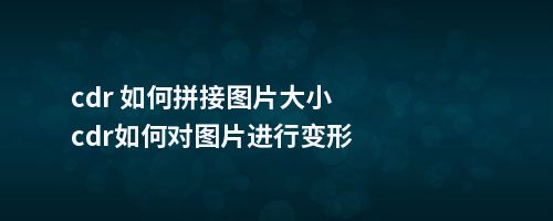 cdr 如何拼接图片大小cdr如何对图片进行变形