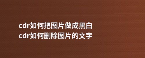 cdr如何把图片做成黑白cdr如何删除图片的文字