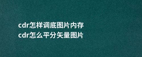 cdr怎样调底图片内存cdr怎么平分矢量图片