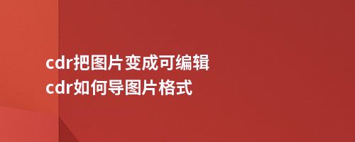 cdr把图片变成可编辑cdr如何导图片格式