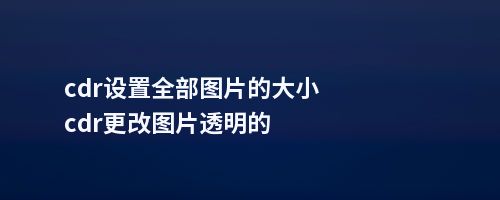 cdr设置全部图片的大小cdr更改图片透明的