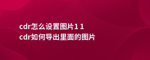 cdr怎么设置图片1 1cdr如何导出里面的图片