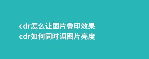 cdr怎么让图片叠印效果cdr如何同时调图片亮度