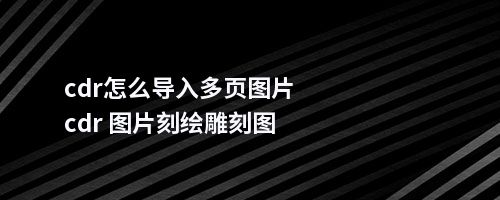 cdr怎么导入多页图片cdr 图片刻绘雕刻图