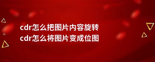 cdr怎么把图片内容旋转cdr怎么将图片变成位图