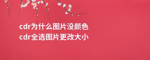 cdr为什么图片没颜色cdr全选图片更改大小