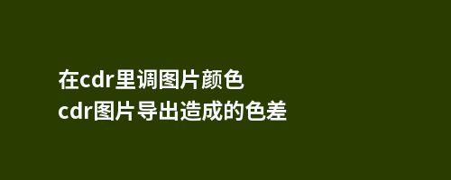 在cdr里调图片颜色cdr图片导出造成的色差