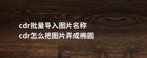 cdr批量导入图片名称cdr怎么把图片弄成椭圆